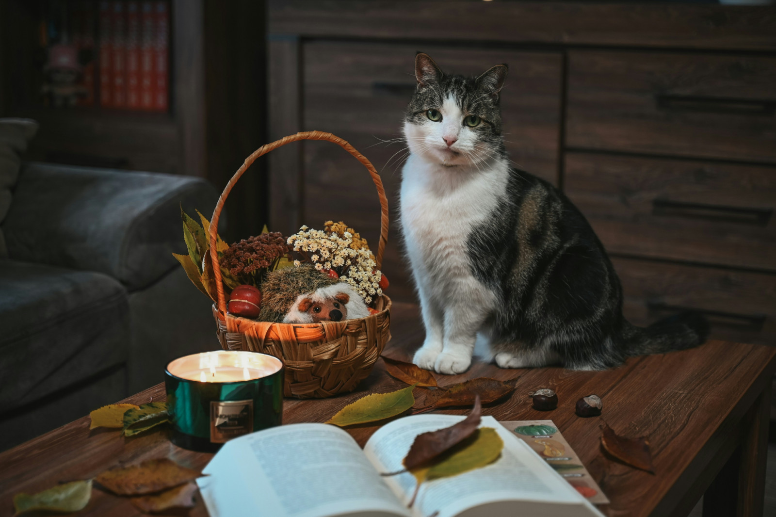 A cosy reading nook with escapist books is perfect for stress relief and mental restoration (Photo: Evelina Kasparaitė/Unsplash)