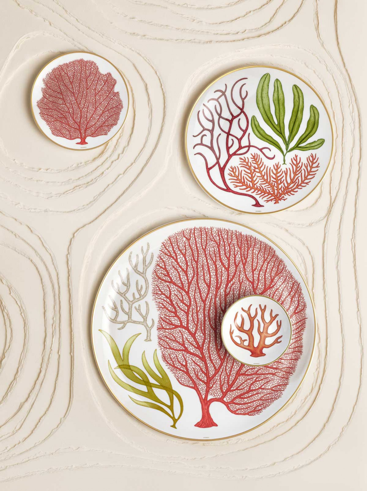 The illustrations were created by Katie Scott, an artist who draws influences from traditional medical and botanical illustration