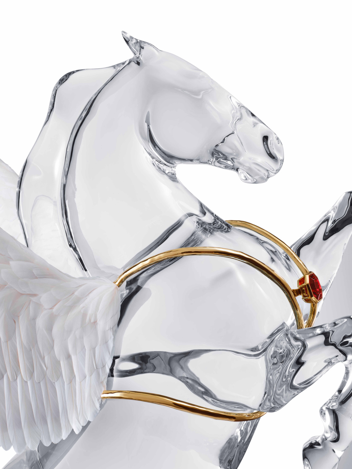 A close-up detail of the Olympus Pegasus’ gold bridle