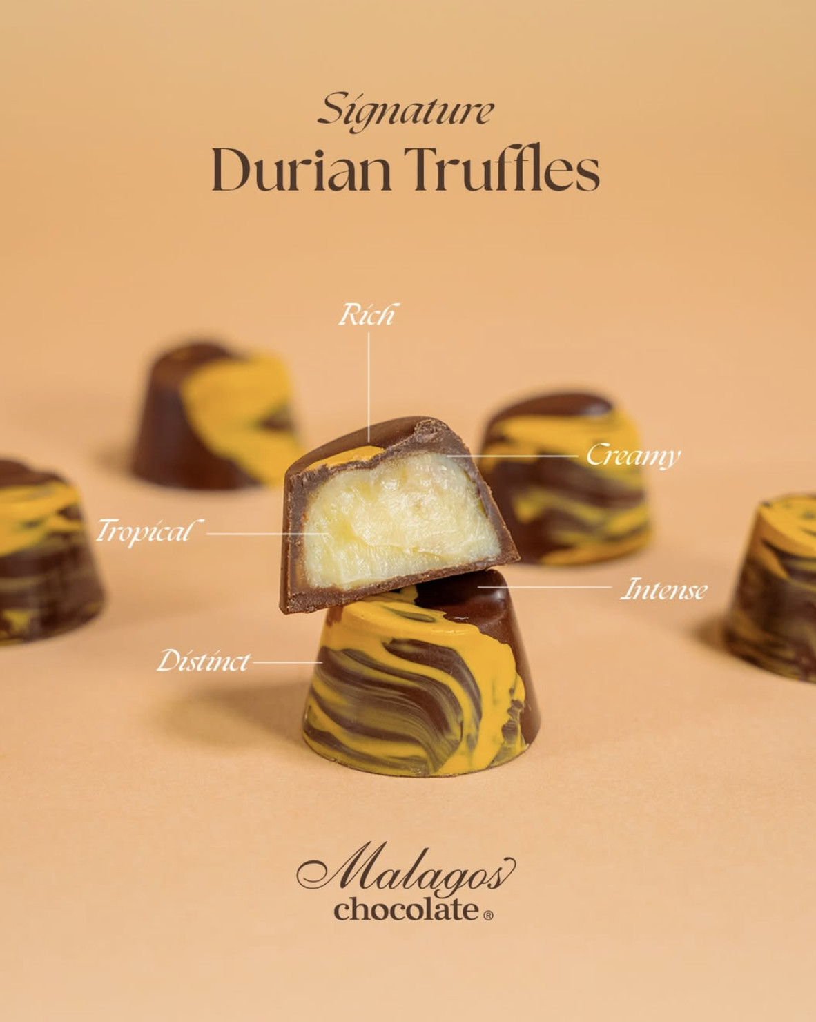 Where to buy the best local Philippine-made chocolate | Photo: Malagos / Instagram