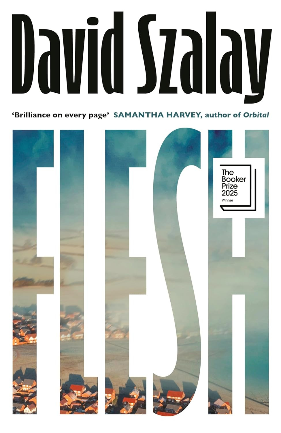 ‘Flesh’ by David Szalay (Photo: Jonathan Cape)