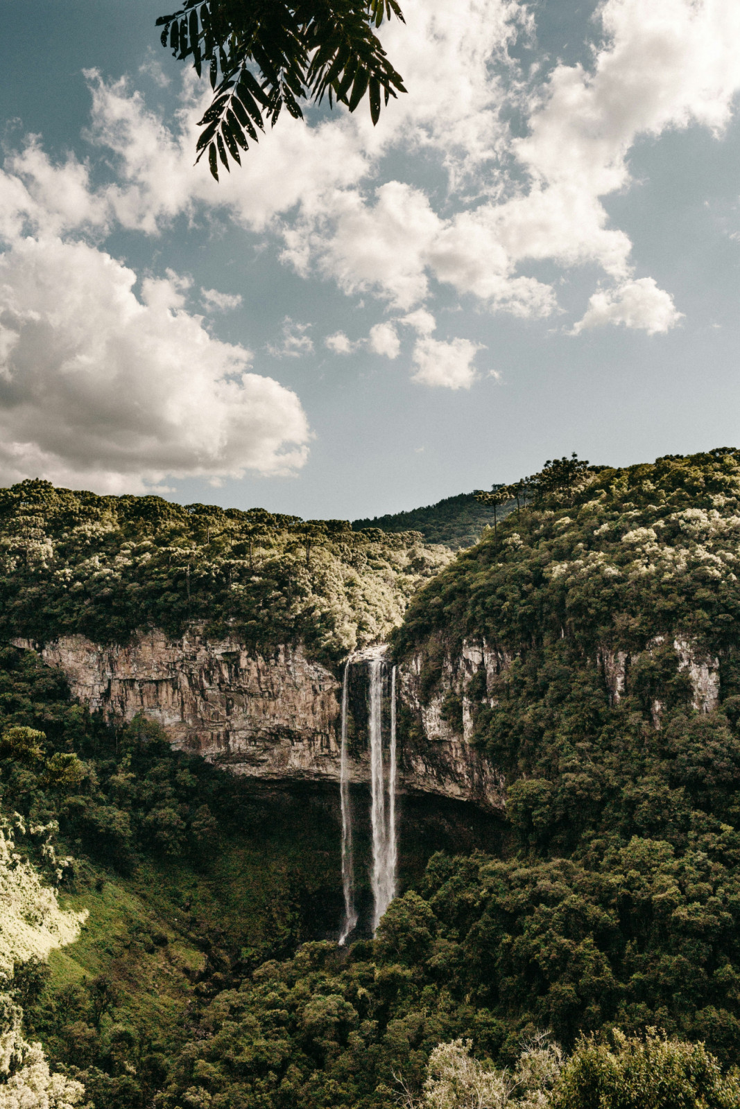 Besides being the largest country in South America, Brazil remains one of the most influential cultural powerhouses in the Americas, where music, identity, and politics often move in sync (Photo: Jonathan Borba/Unsplash)