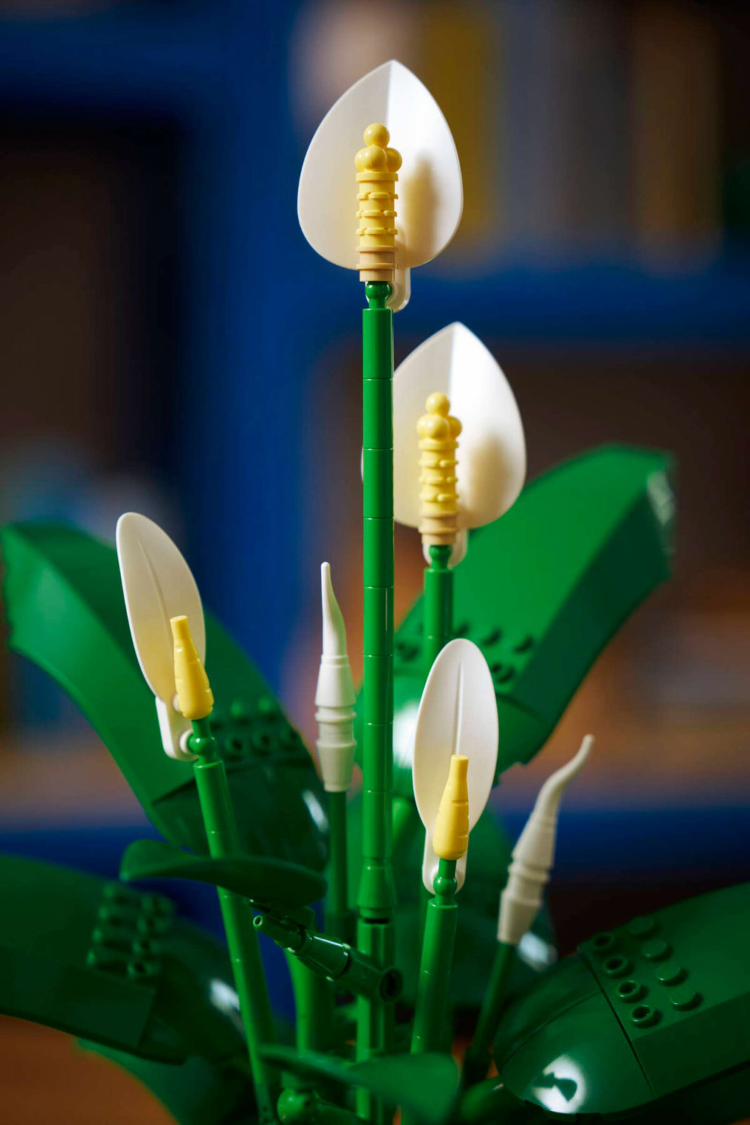 The yellow carrot piece shapes the spadix on partially open spathes; popcorn elements cap the fully open flowers. Both are recoloured existing Lego pieces repurposed for botanical accuracy
