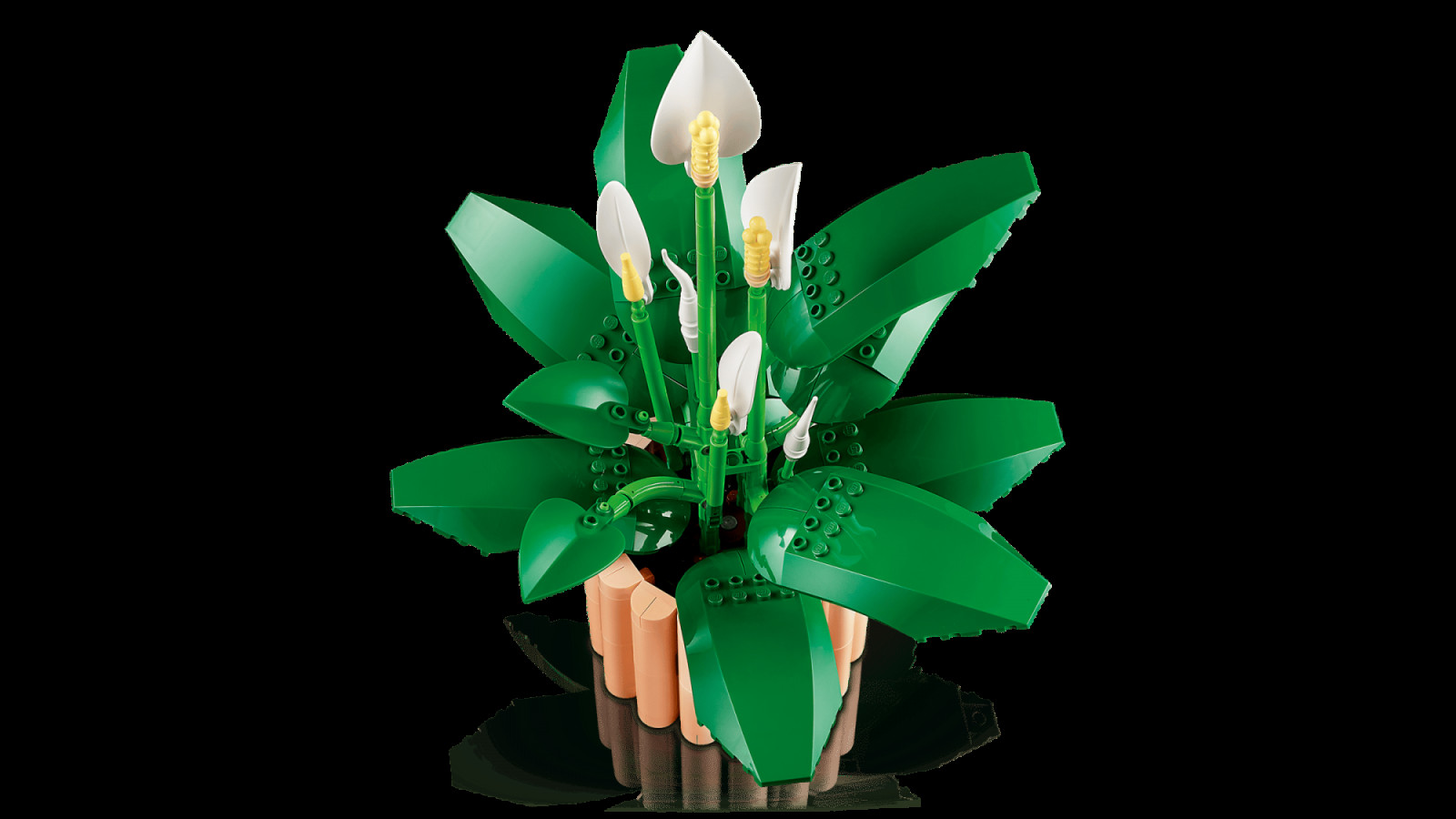 The 474-piece set depicts six spathes across three stages of bloom, from furled buds to fully open flowers. Large eight-stud windscreen pieces in dark green form the plant’s signature broad leaves