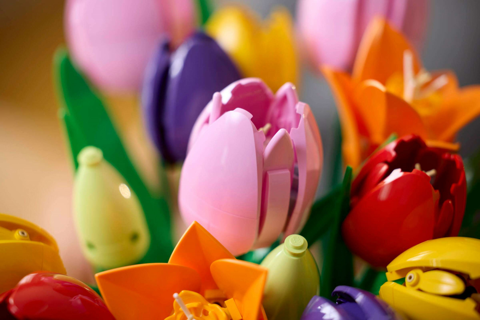 The new curved shell piece, introduced specifically for this set, forms the smooth petal surface. It appears in four colours: pink, purple, red, and yellow
