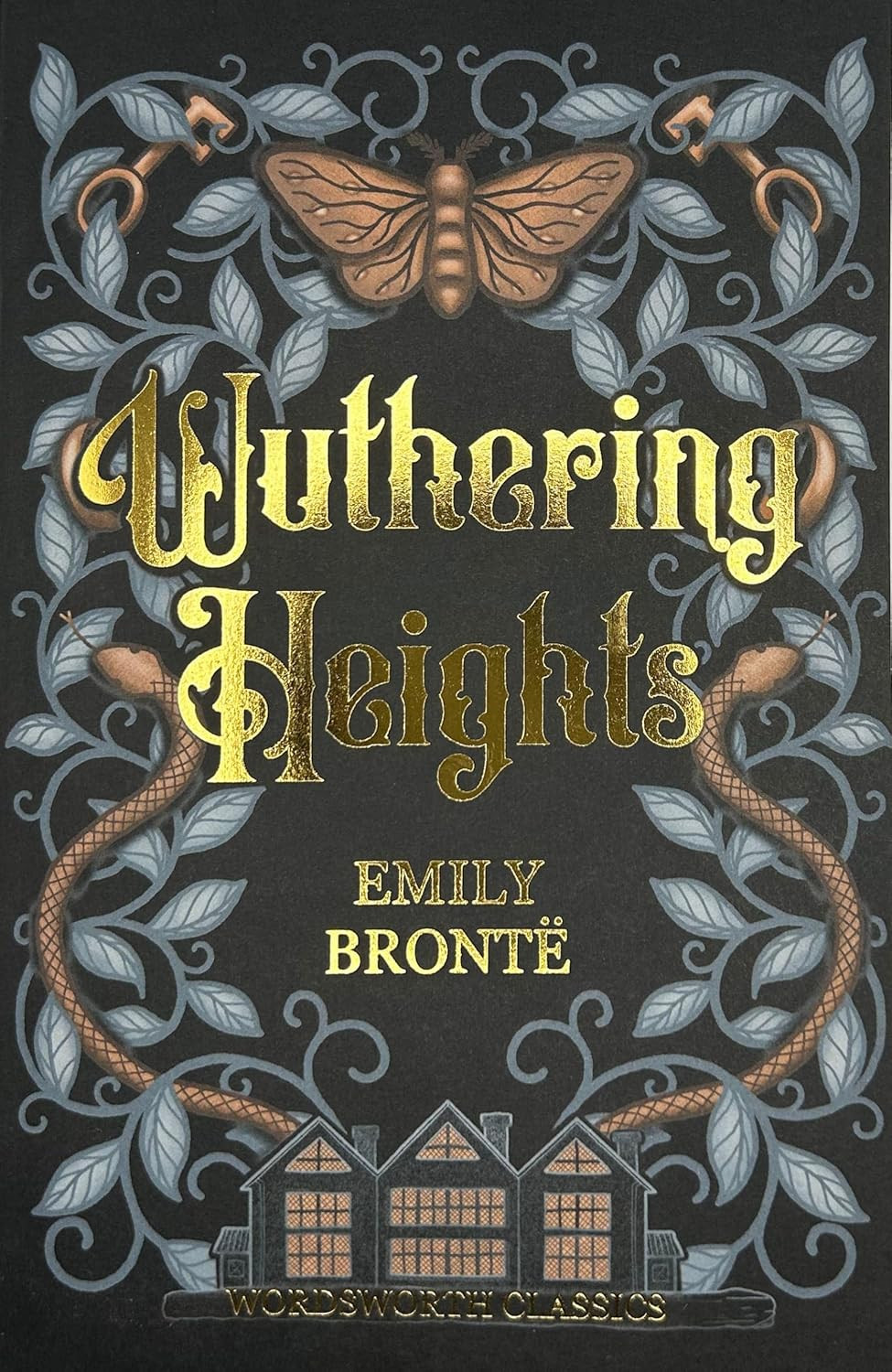 ‘Wuthering Heights’ by Emily Brontë (Photo: Wordsworth Editions Ltd)