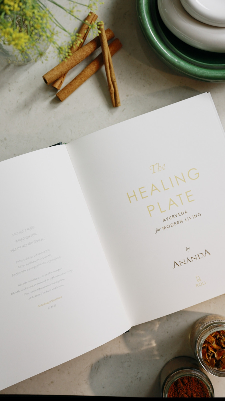 A closer look at The Healing Plate (Photo: courtesy of Ananda in the Himalayas)