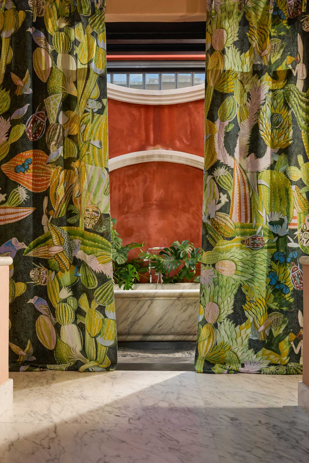 Cardamom Cactus in the bathroom