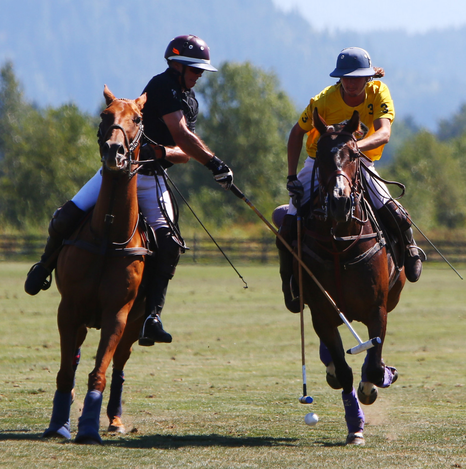 Seattle Polo Club plays British Columbian team Tentology during a Polo Party hosted by Seattle Polo & Equestrian Club in Enumclaw, Sunday, Aug. 14, 2016. Wearing their best hats and garden party attire, attendees gathered to watch polo matches, picnic, divot stomp, and socialize. (Genna Martin, seattlepi.com) (Photo by GENNA MARTIN/San Francisco Chronicle via Getty Images)