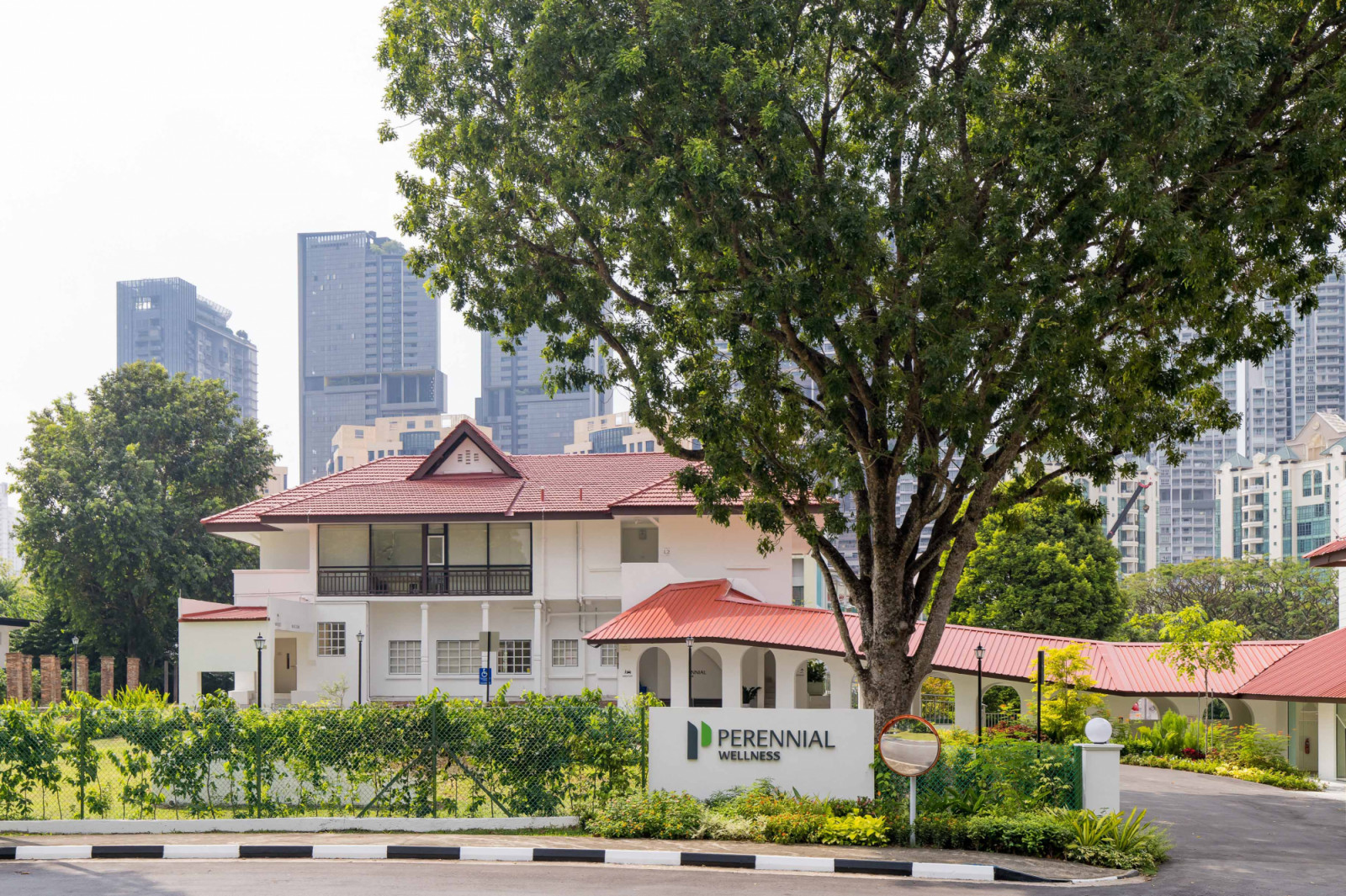 Recently opened at Jervois Road, Perennial Wellness occupies a restored black-and-white residence