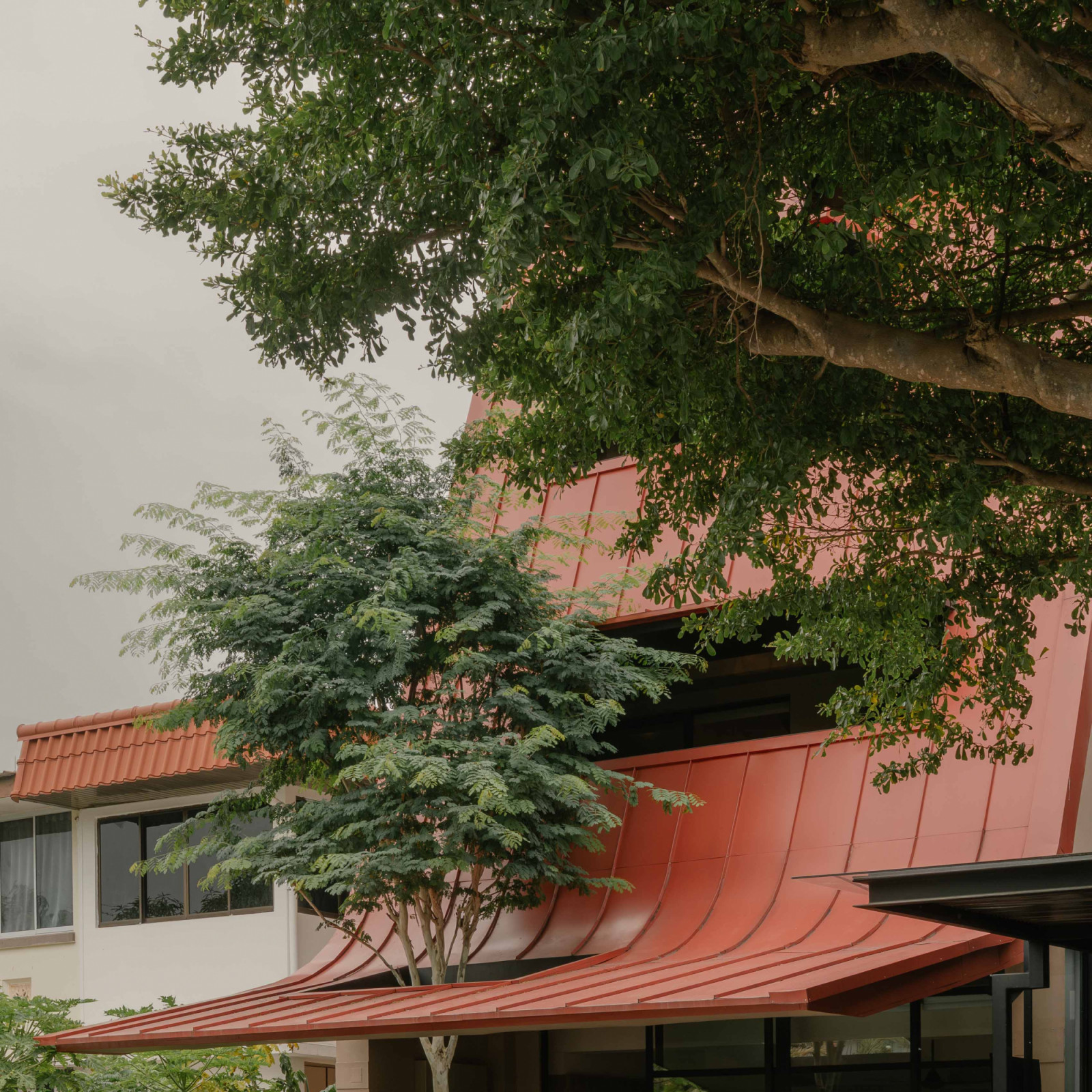 A tree grows through an opening in the giant roof’s car porch canopy, its foliage rising to shade the balconies above