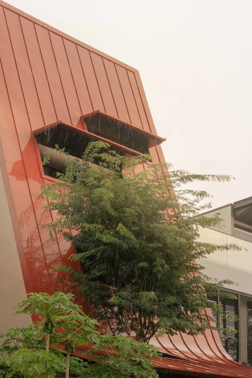 Seen from the side, the roof reveals its sculpted openings, partially screened by the tree in front