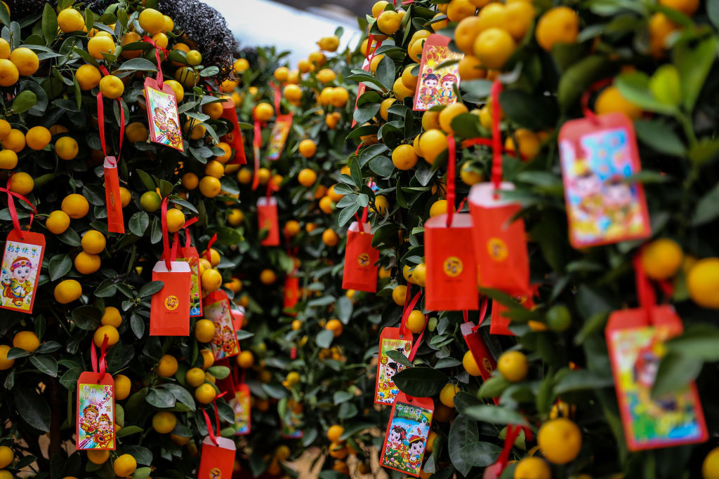 A tangerine trees is seen for Chinese New Year at a street market in Jakarta, Indonesia, on Monday, Jan. 28, 2019. Tangerine trees are imported from China and only sold once a year in Jakarta for the Chinese New Year. (Photo by Andrew Gal/NurPhoto via Getty Images)