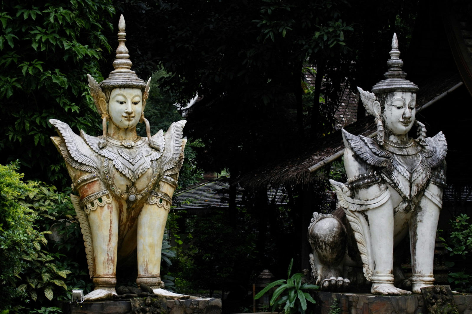 Discover the best hikes in Chiang Mai, into misty forests, cascading waterfalls and quiet village trails (Photo: Ray Rui/Unsplash)