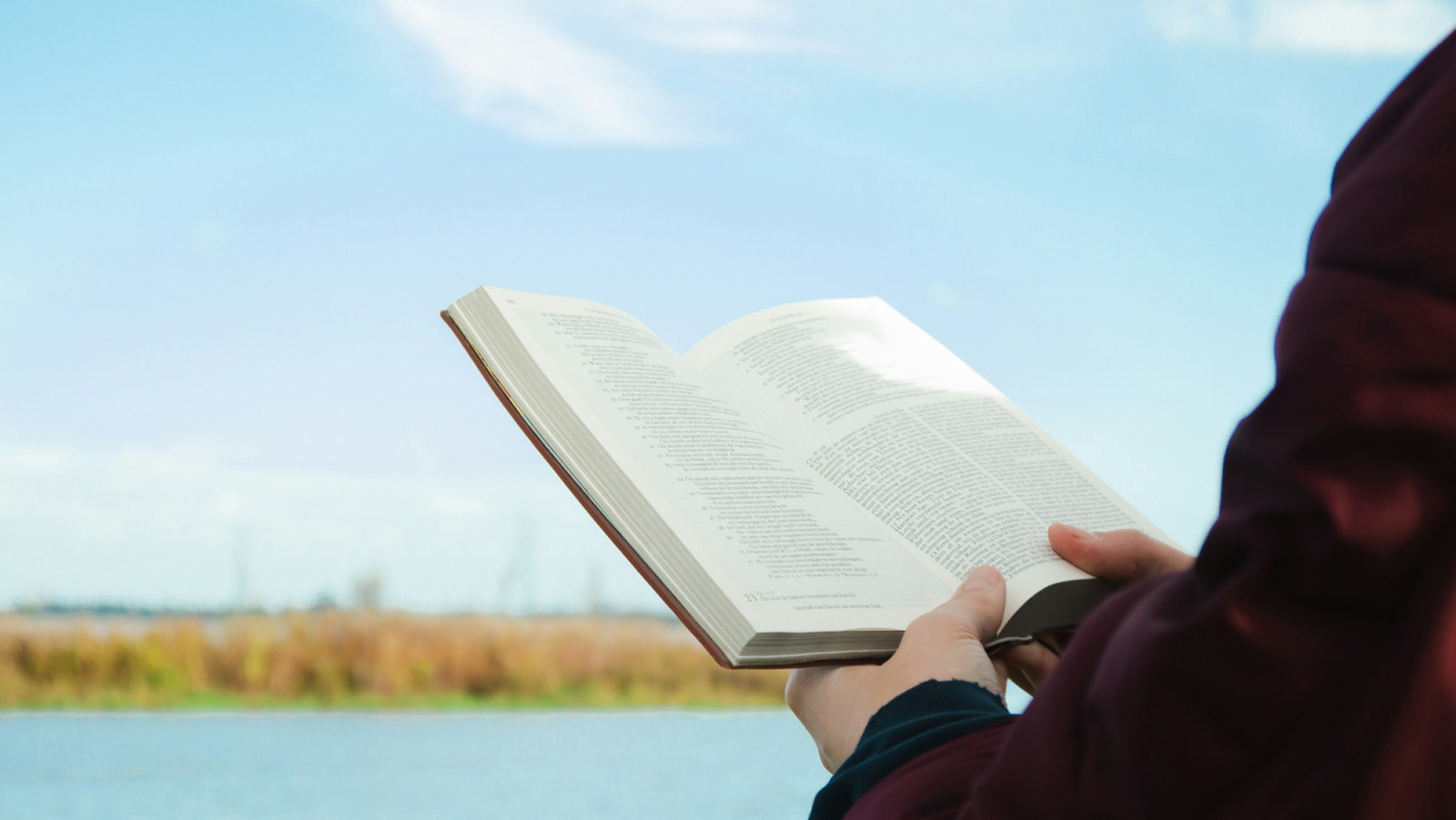 Step inside the minds of writers, educators and thinkers with seven books that unpack how reading shapes thought, attention and culture (Photo: Worshae/Unsplash)