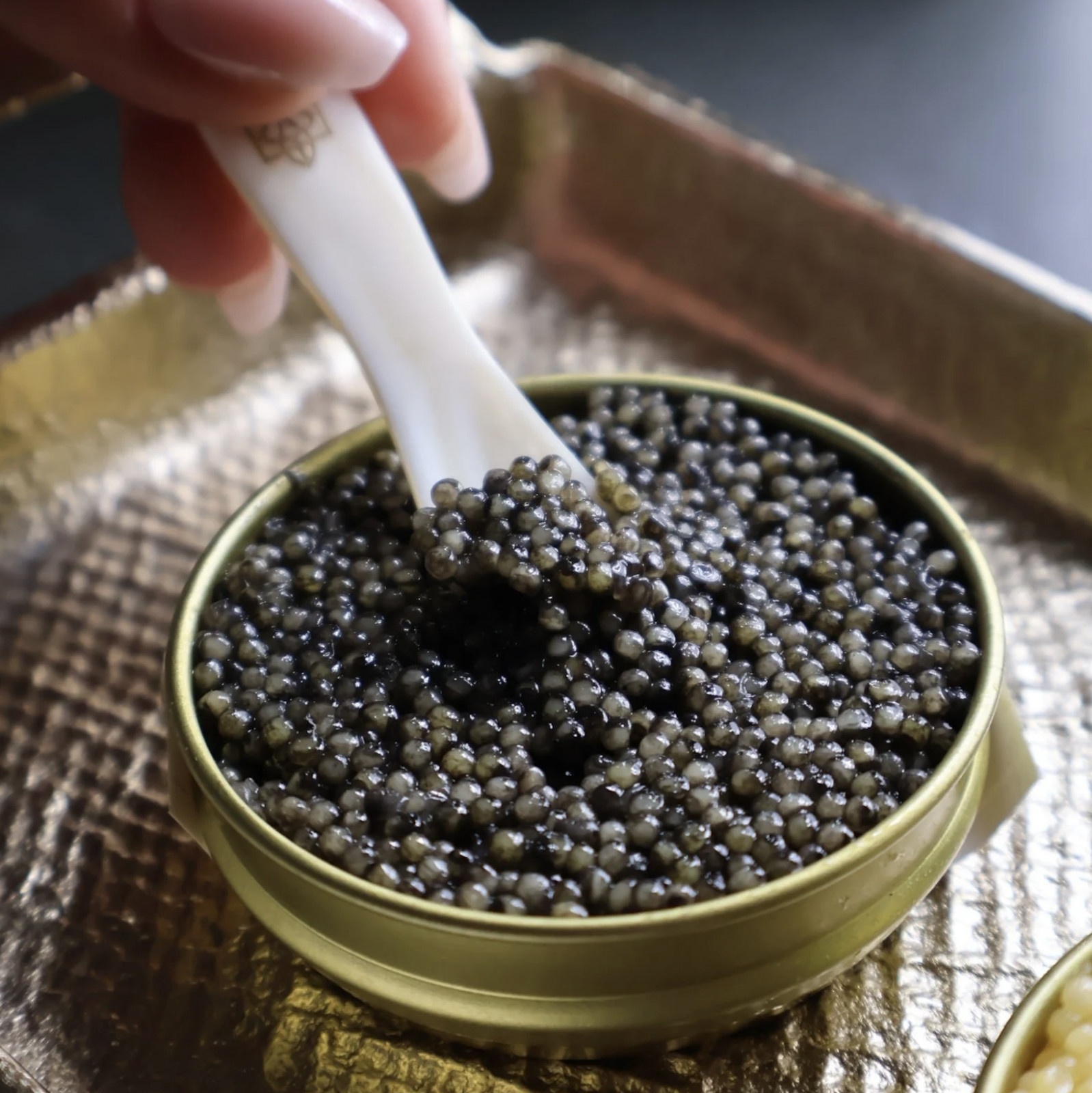 Small, dark eggs from the Sevruga sturgeon, known for their firm texture and long association with Caspian Sea caviar traditions (Photo: Caviar Luxe)