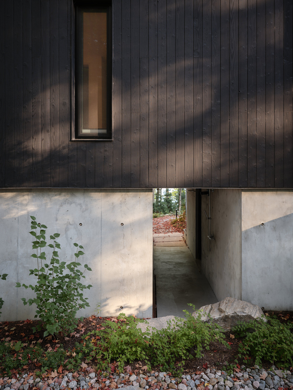 The base of the cottage is where the Shou Sugi Ban cedar cladding meets the poured-concrete structural walls
