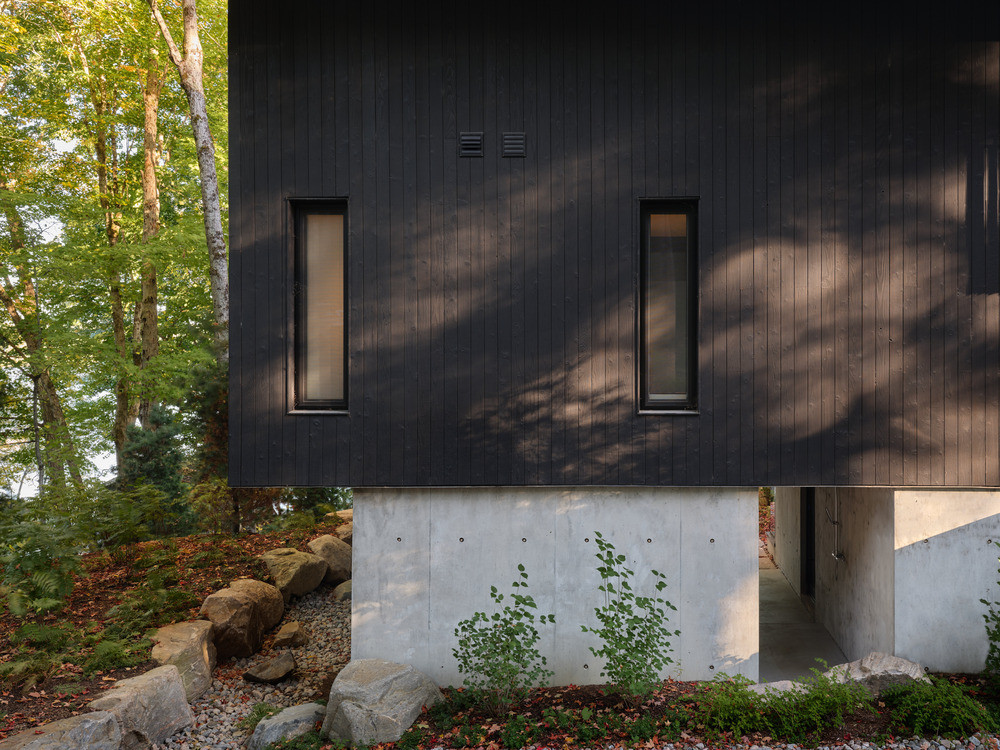 The lake-facing facade, showing the Shou Sugi Ban cedar upper volume set above a poured concrete base