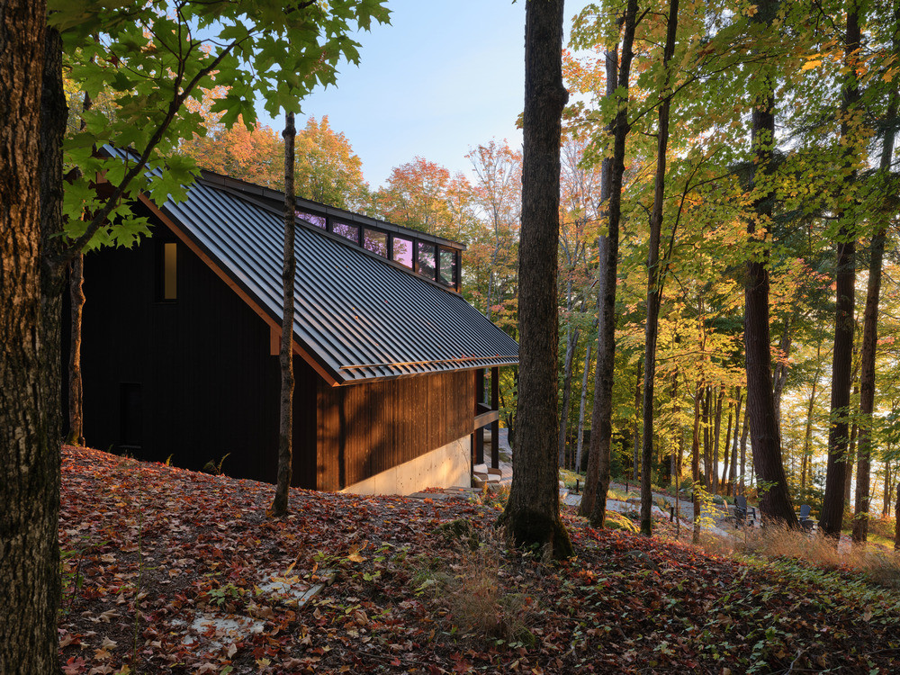 The cottage’s Shou Sugi Ban cedar cladding and black zinc roof are seen from the uphill side of the site