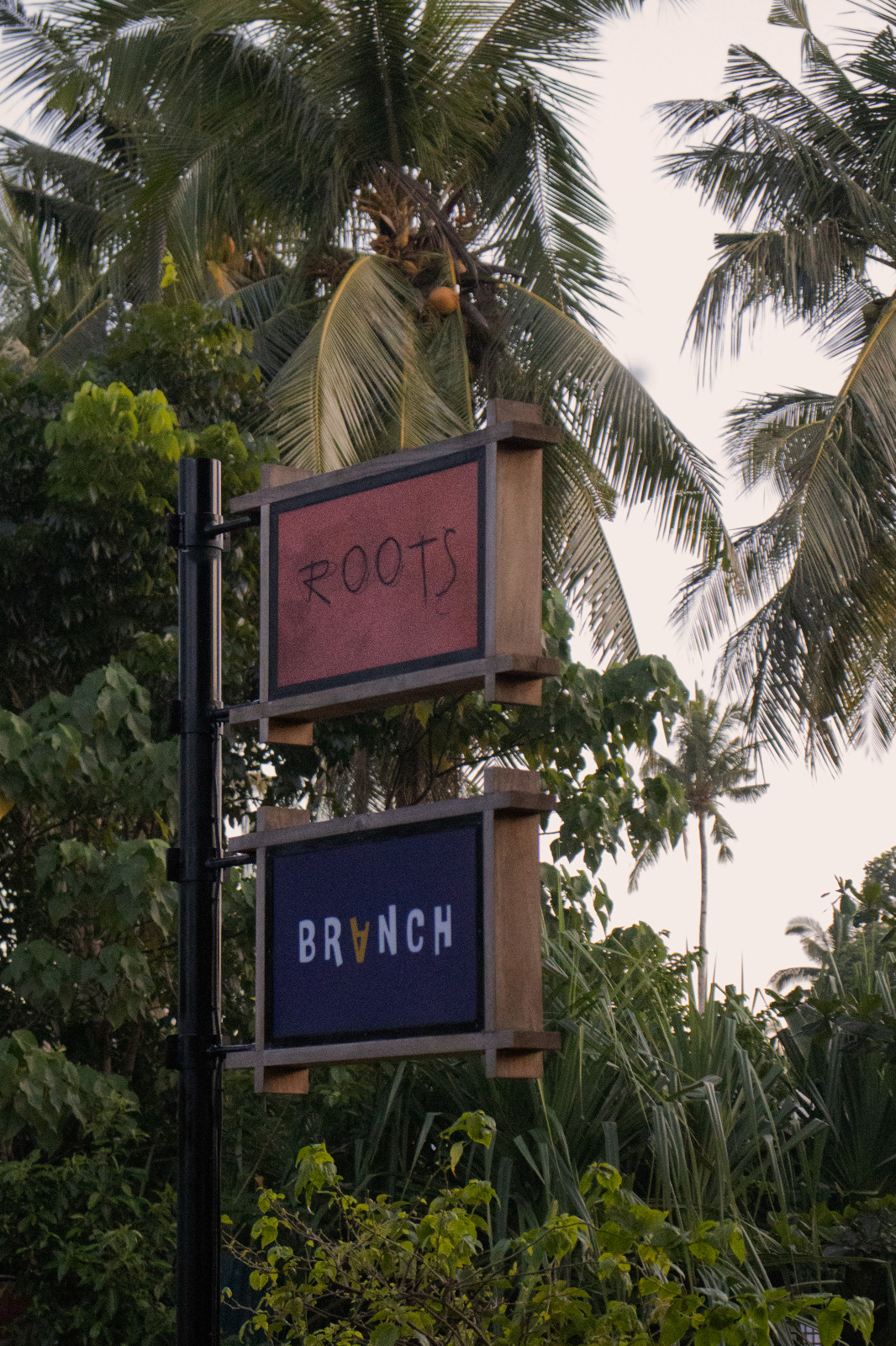 Branch by Roots - Tatler Best 2026