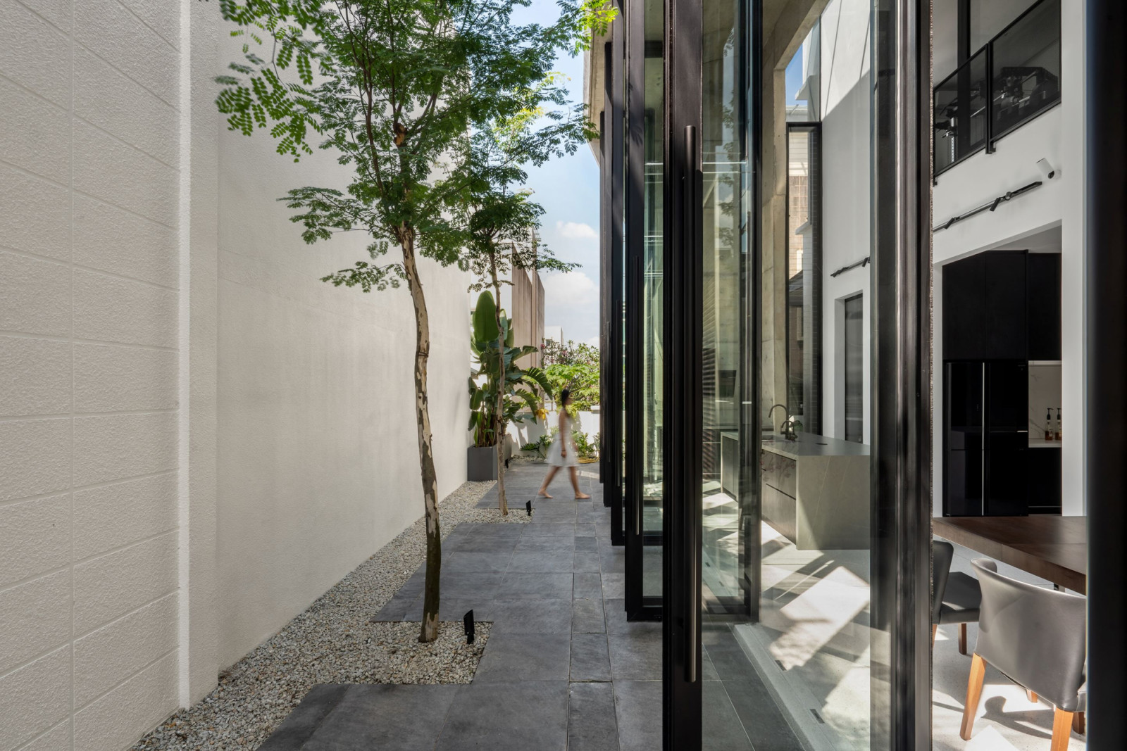 The planted garden corridor between the glass wall of the extension and the boundary wall