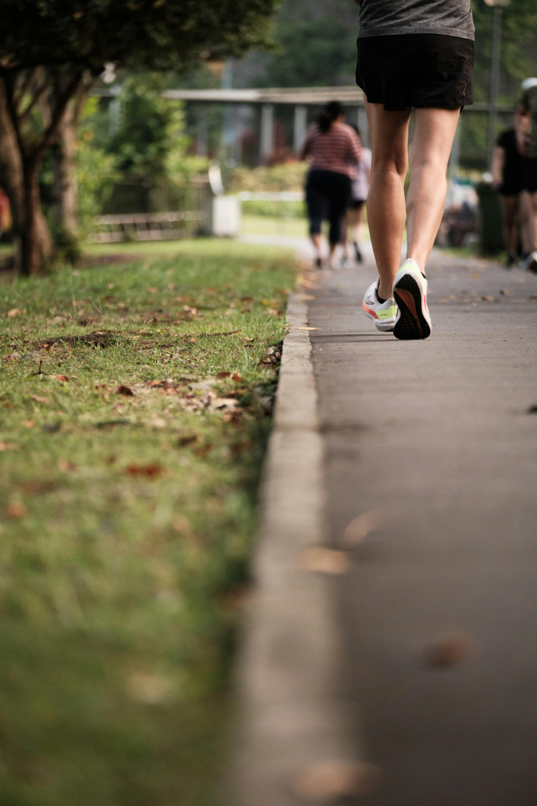 A serene setting for morning jogs, mindful walks, and quiet reflection (Photo: Pexels)