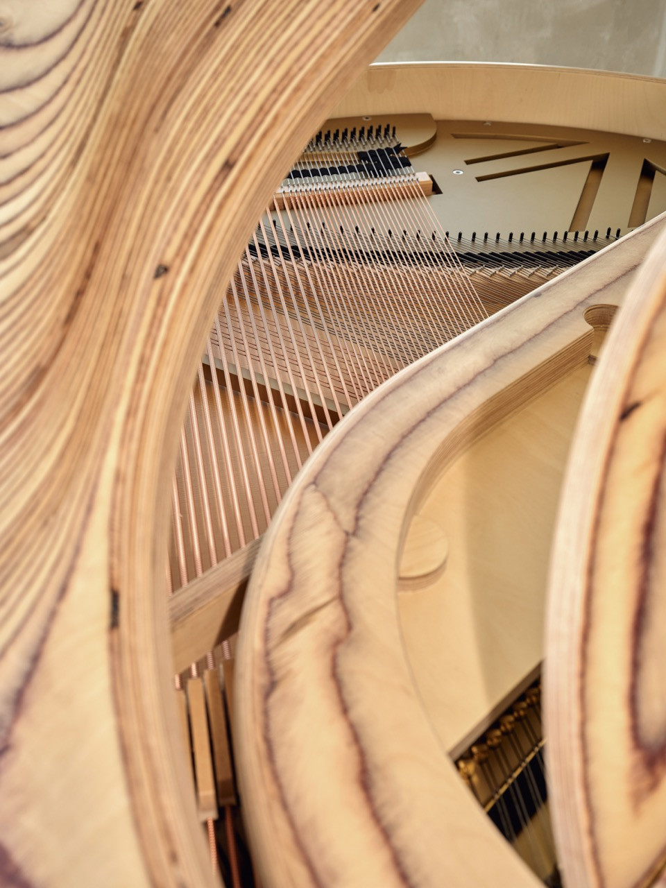 Looking into the open Timbra, the copper and steel string array framed by the carved birchwood rim