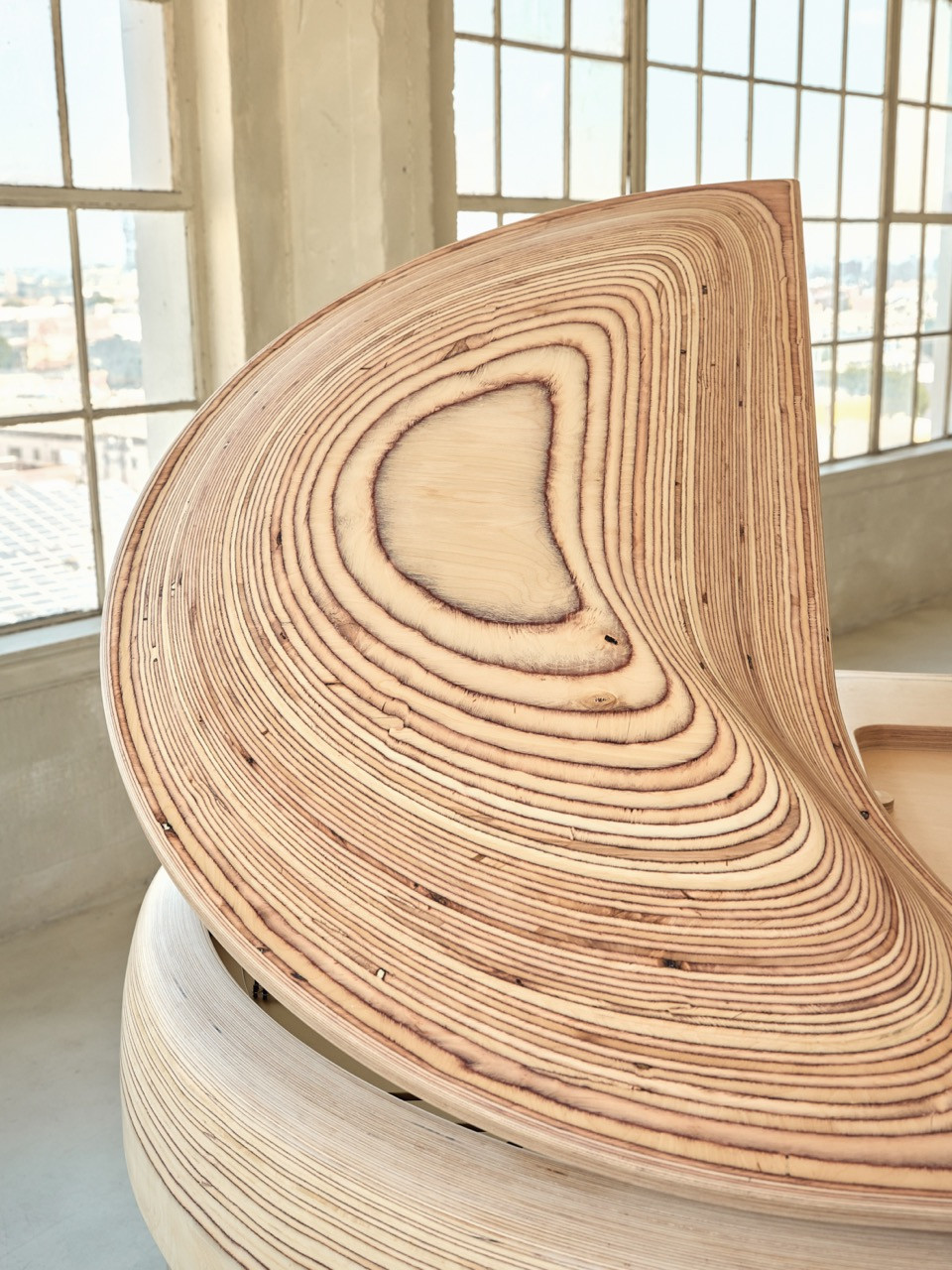 Close detail of the Timbra lid’s cross-section, revealing the layered birchwood veneer and its concentric grain markings
