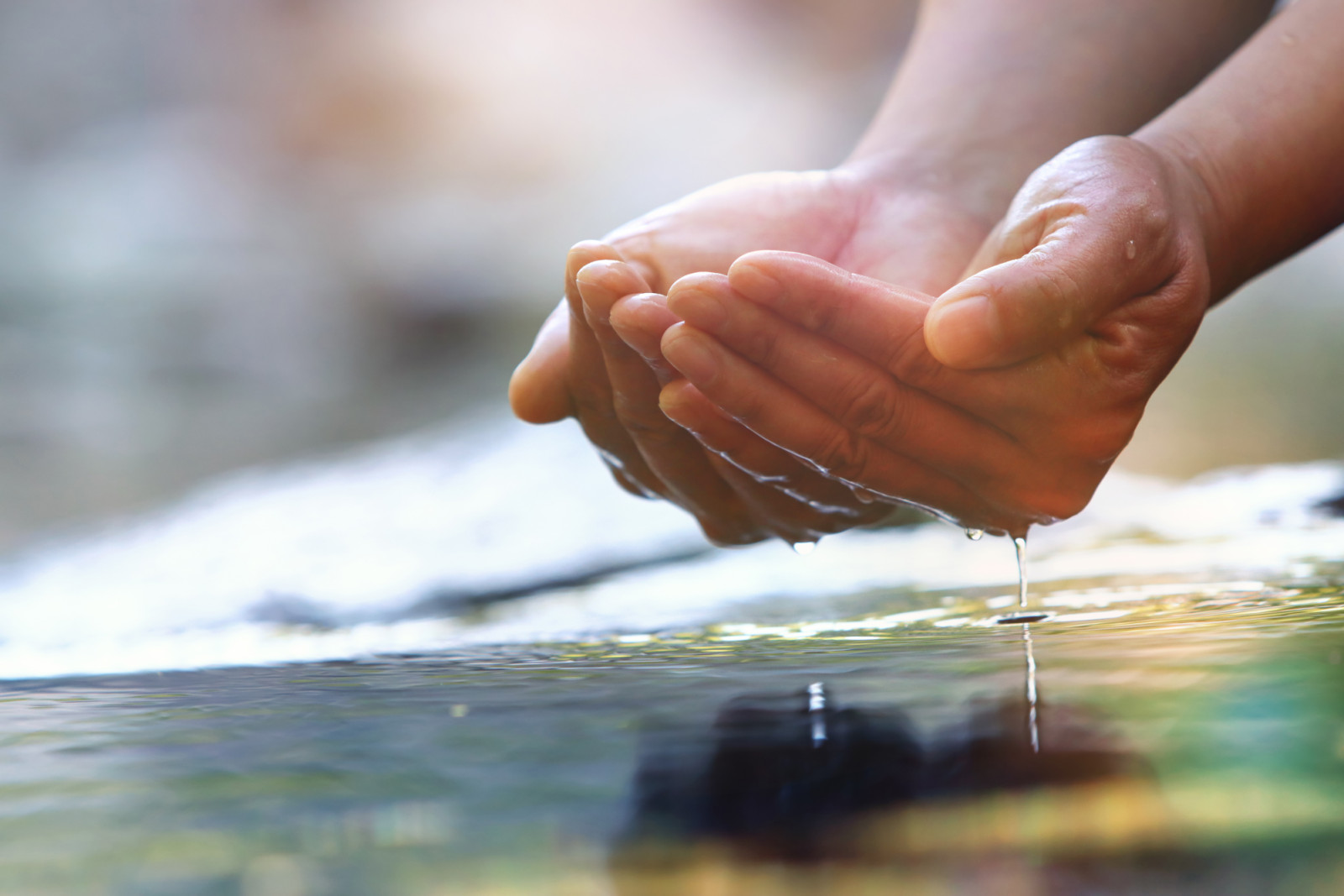 Precious water in your hand, clear, transparent and clean source of life, World Water Day background (photo: artplus / Getty Images)