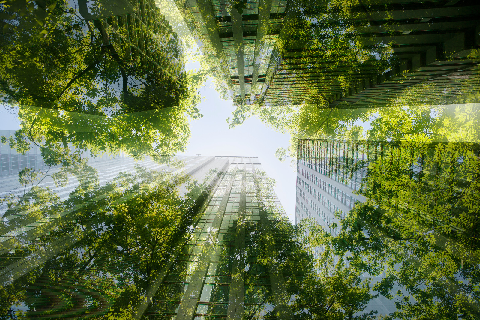 Cityscape mixed with green plants, multi layered image (photo: Hiroshi Watanabe / Getty Images)