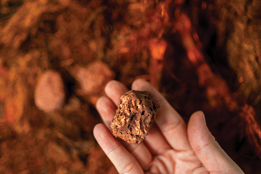 Man's hand holding a piece of copper to examine it for industrial use (photo: Oat_Phawat / Getty Images)