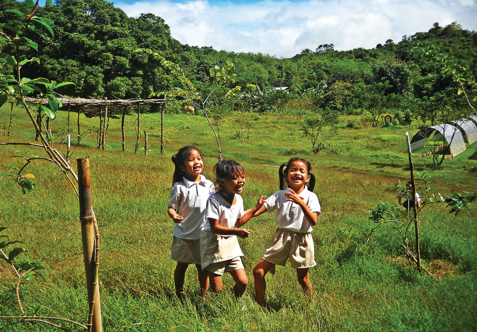 Turning a once denuded land into a green and safe environment for children through GreenEarth