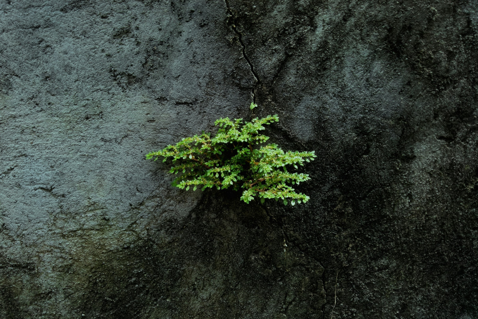 Wabi-sabi is embracing imperfection and impermanence, letting everyday objects and moments reveal their quiet beauty (Photo: hybridnighthawk/Unsplash)
