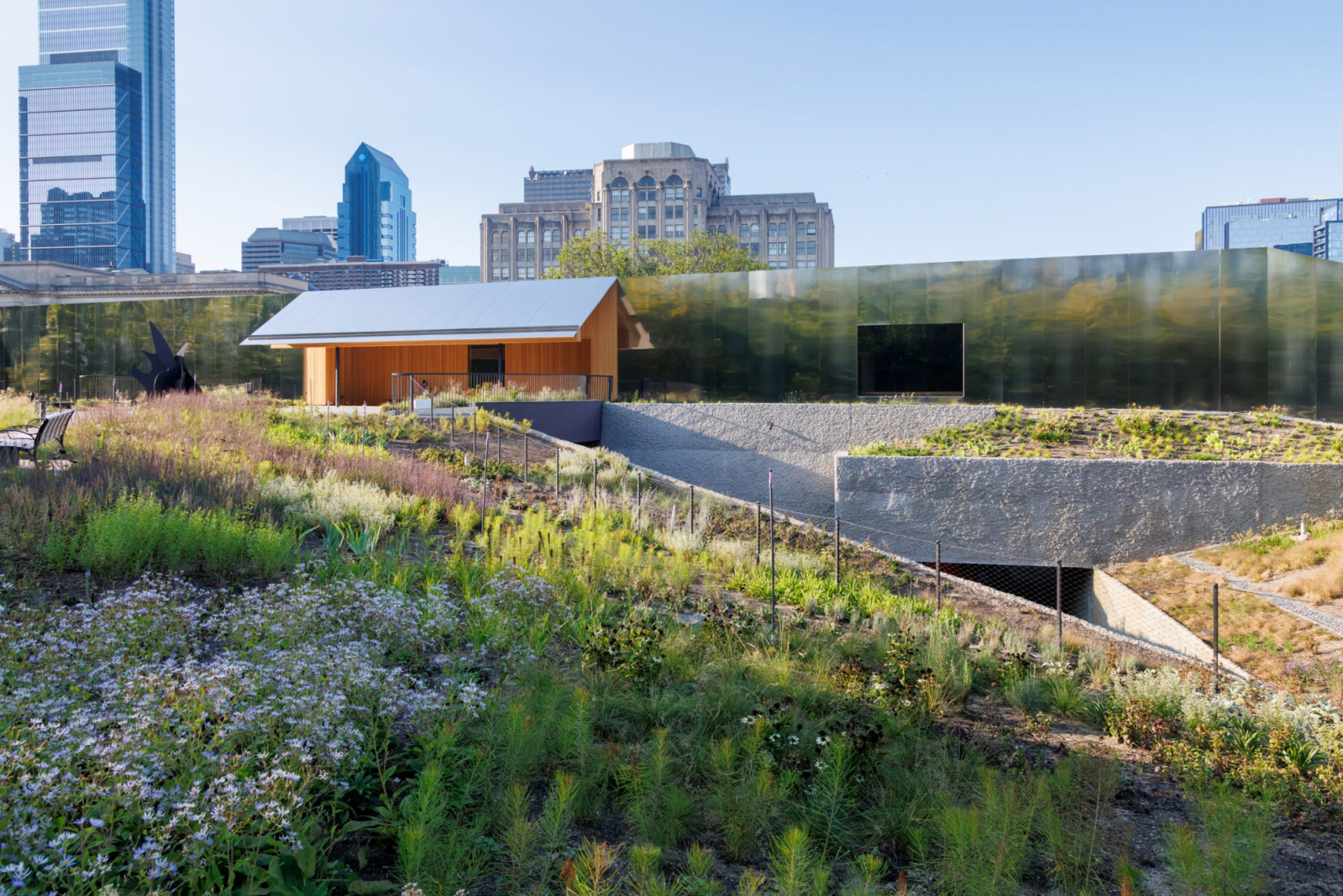 The garden landscape of Calder Gardens, designed by Piet Oudolf, features over 250 varieties of native perennials planted across the 1.8-acre site. (Photo: Iwan Baan/2025 Calder Foundation, New York)