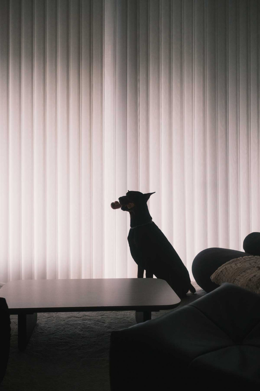 Ripple blinds feature a wave-like design and are adjustable to control the amount of light that enters a room