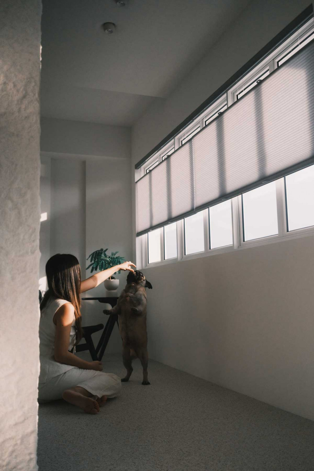 Sleek lines on these honeycomb blinds complement the clean, geometric forms of the furniture and corridor