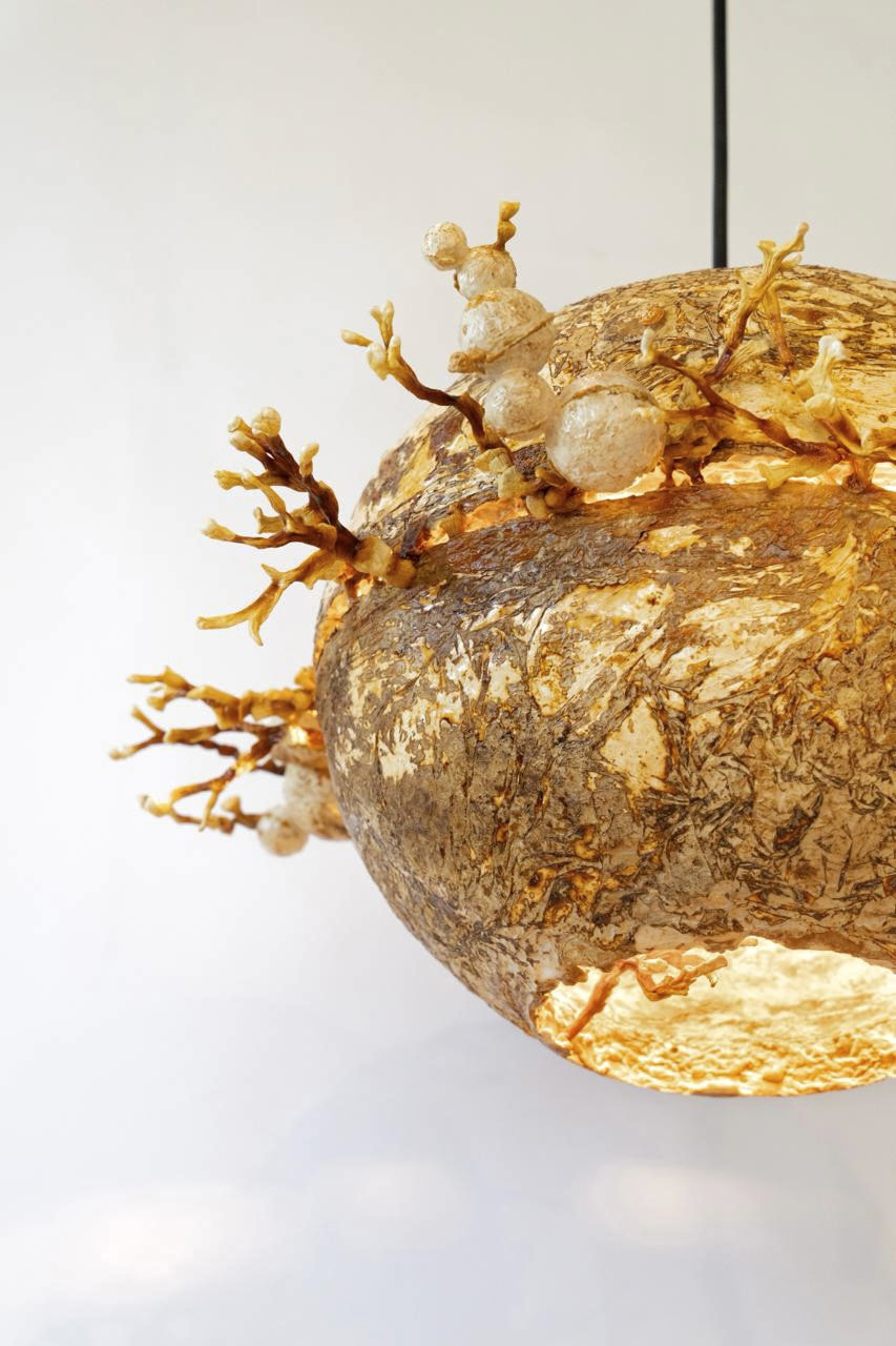 The Mycosmos pendant lamp
