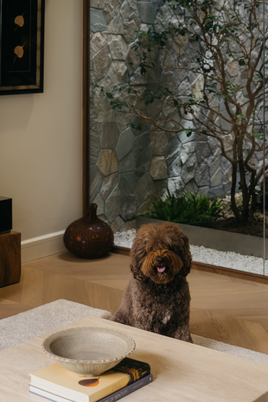 The resident dog poses in front of the glass-walled courtyard in the living room, with the polygonal stone wall and courtyard tree visible behind