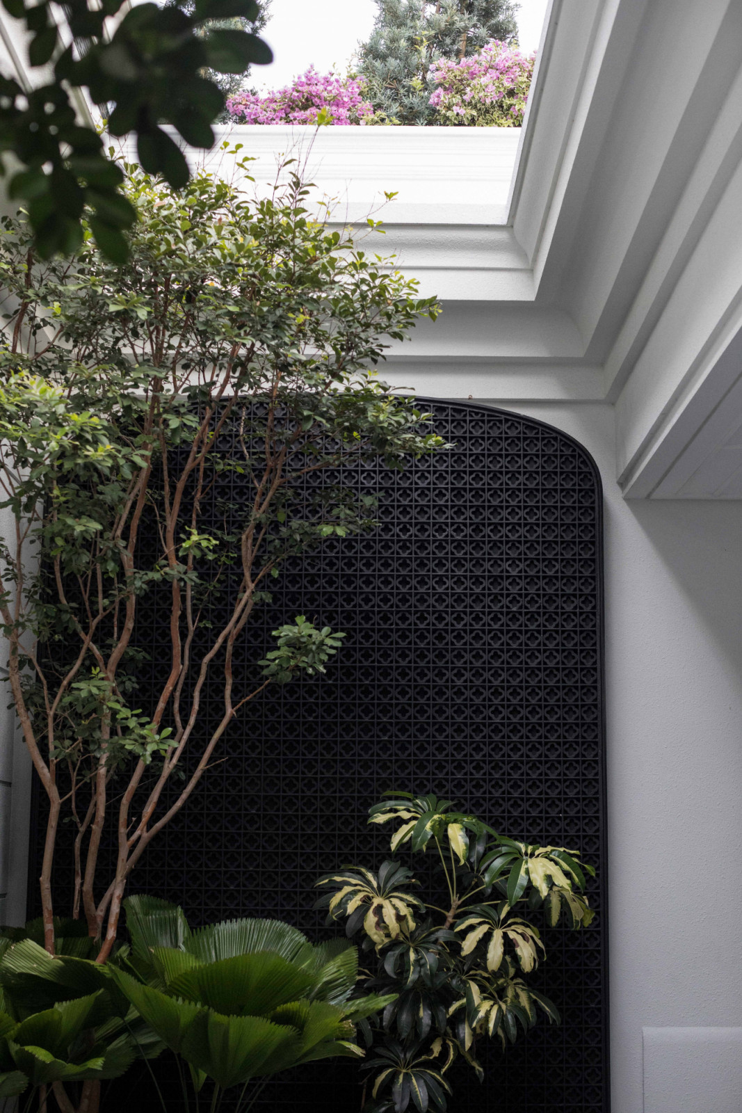 At The Continental, the master bedroom looks out to the garden