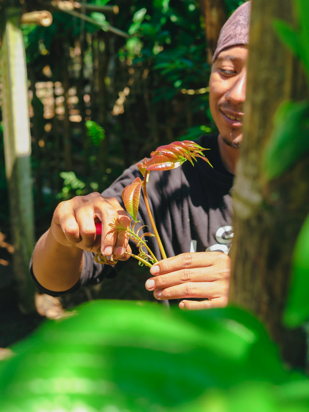 Proses foraging atau mencari bahan makanan di alam