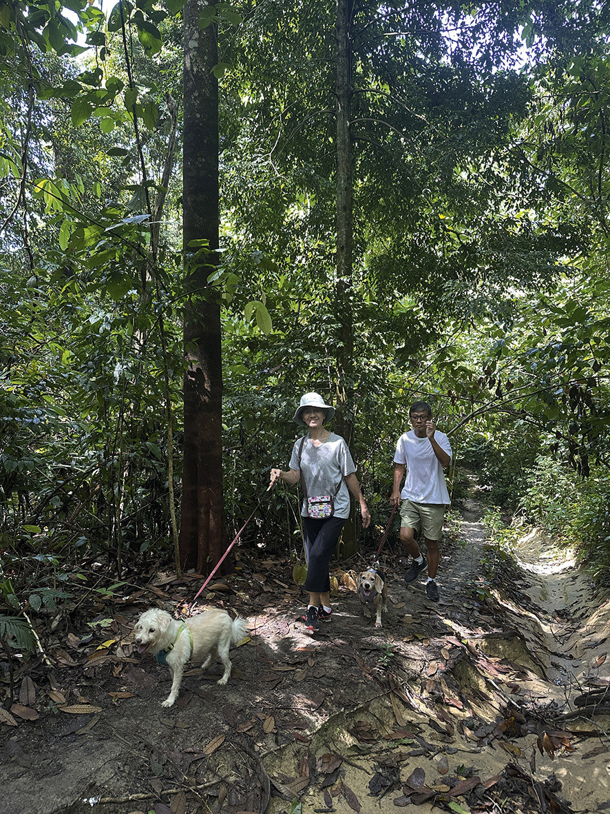 Exploring Bukit Kiara