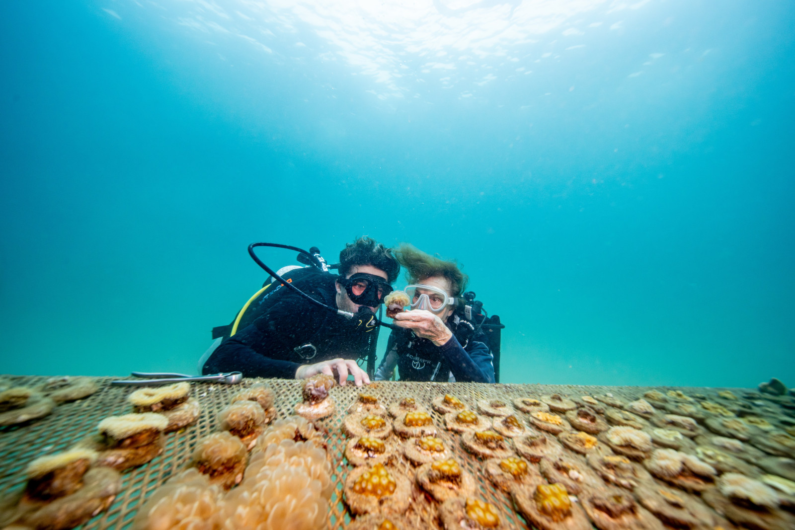 Coral Gardeners’ Founder and CEO Titouan Bernicot, pictured with Rolex Testimonee Sylvia Earle, inspecting coral at the Thai underwater nursery. Bernicot has grown the organization from his teenage bedroom on a tiny atoll in French Polynesia to international acclaim, with Earle serving as an incredible source of inspiration.