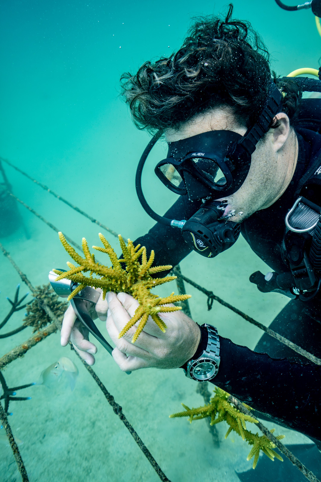 Selecting coral underwater in Thailand is one of many tasks for Coral Gardeners Founder and CEO Titouan Bernicot, who is on a mission to restore the reefs worldwide. “In order to have a healthy coral reef,” says Sylvia Earle, “restoration is really dependent on having a healthy ocean with all the ingredients that are still out there.”
