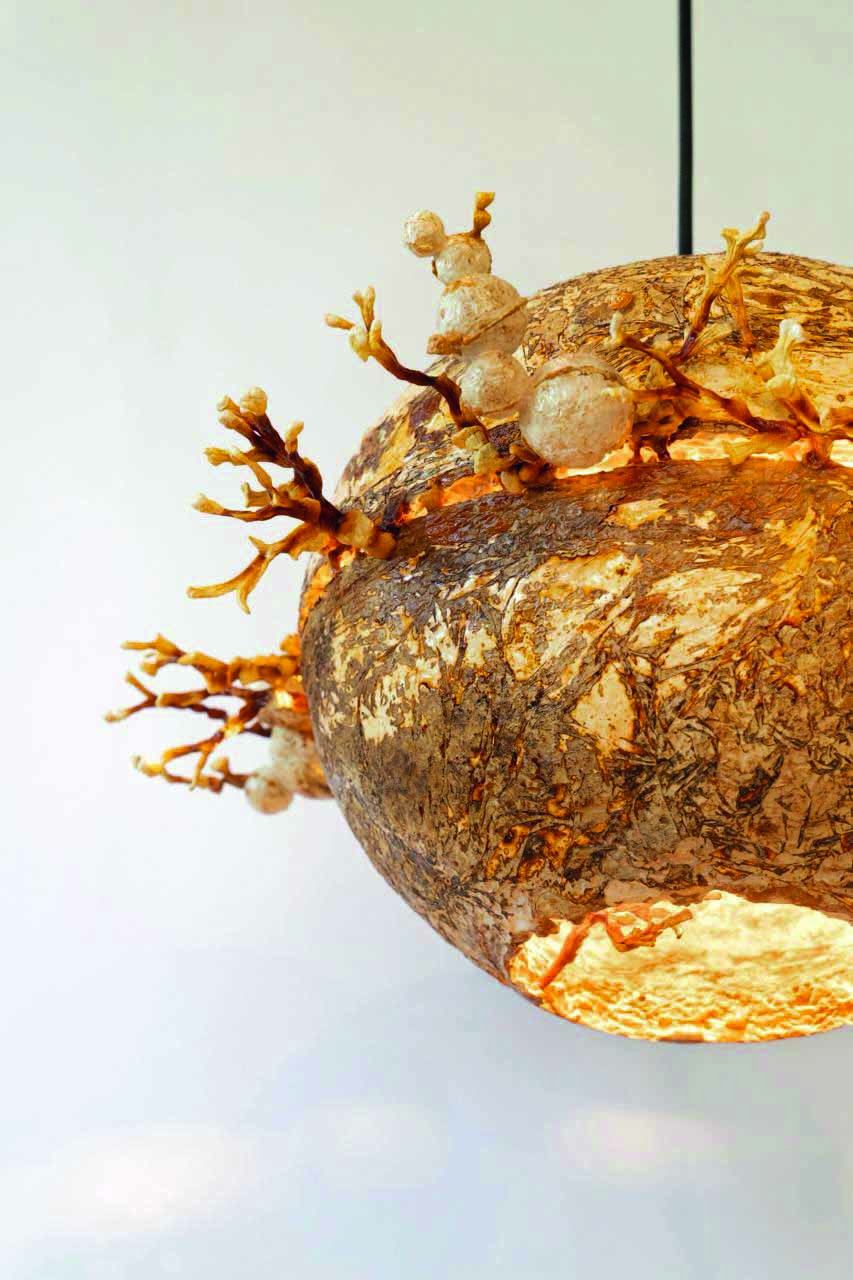 A close-up shot of the Mycosmos lamp by Bewilder