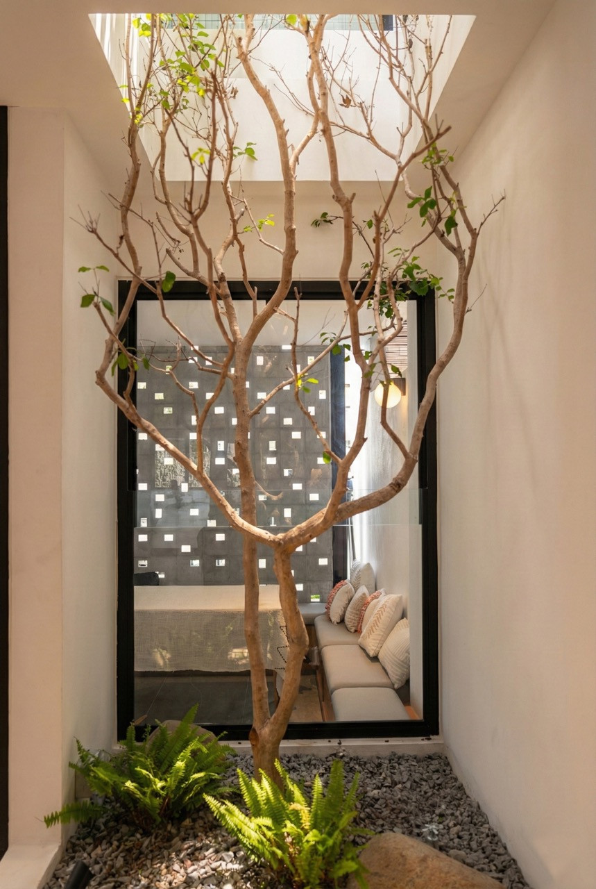 The ground-floor planter box with a tree growing through to the upper level, surrounded by ferns and river pebbles, with a perforated wall and banquette seating visible beyond through full-height glazing