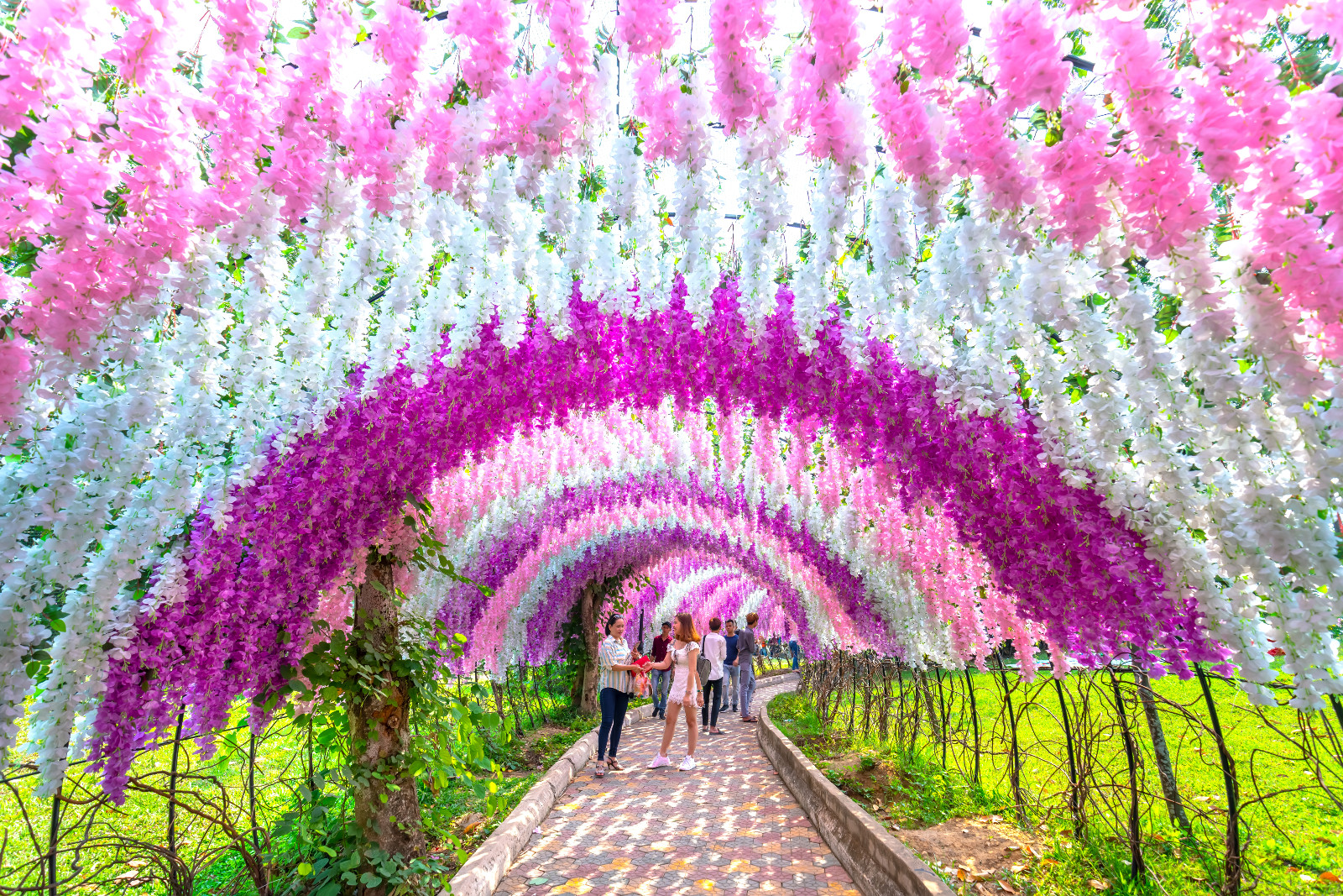 Blauregen in Japan: 4 faszinierende Orte fr den Mai | Tatler Asia