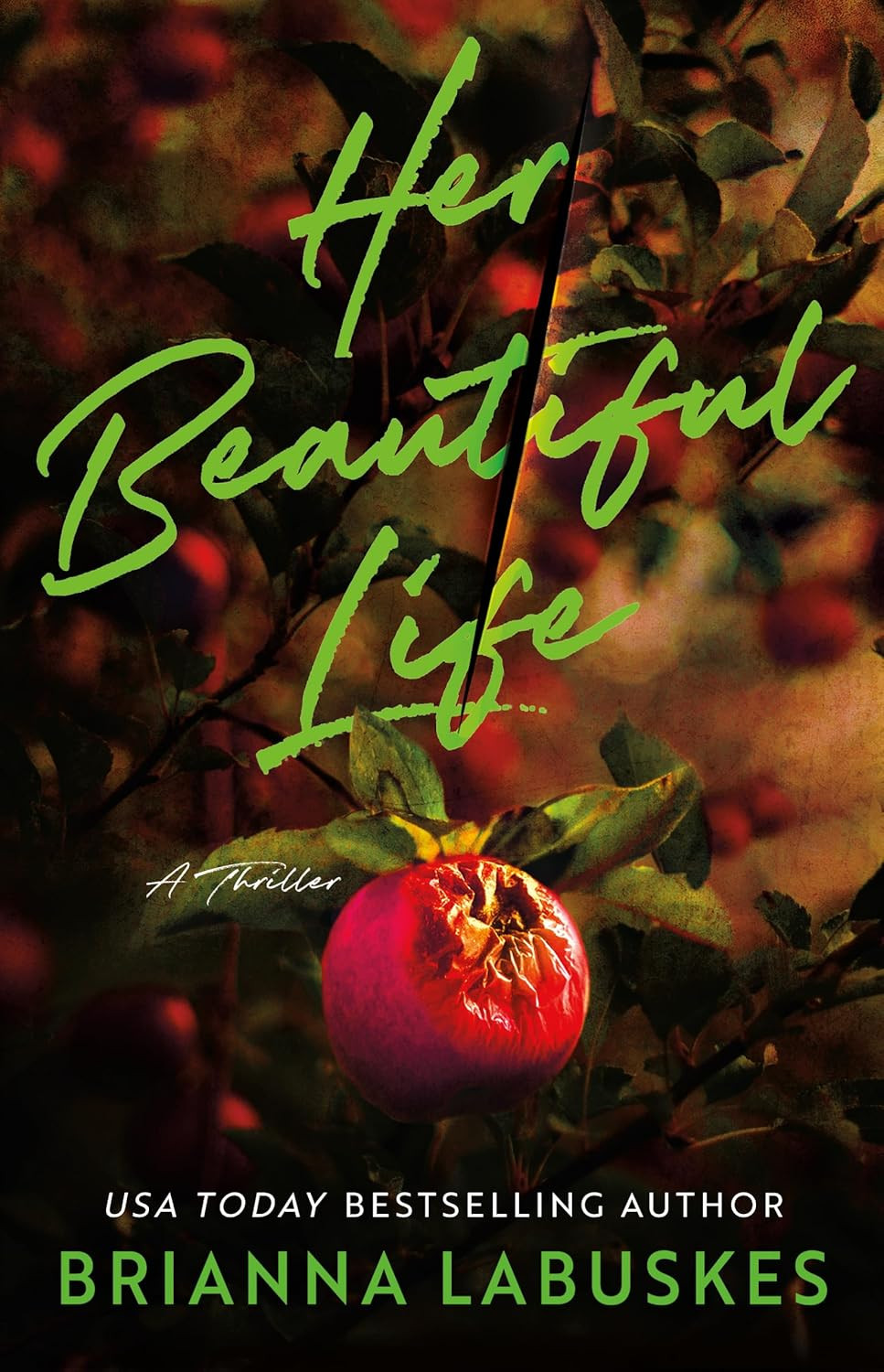 ‘Her Beautiful Life’ by Brianna Labuskes (Photo: Thomas & Mercer)