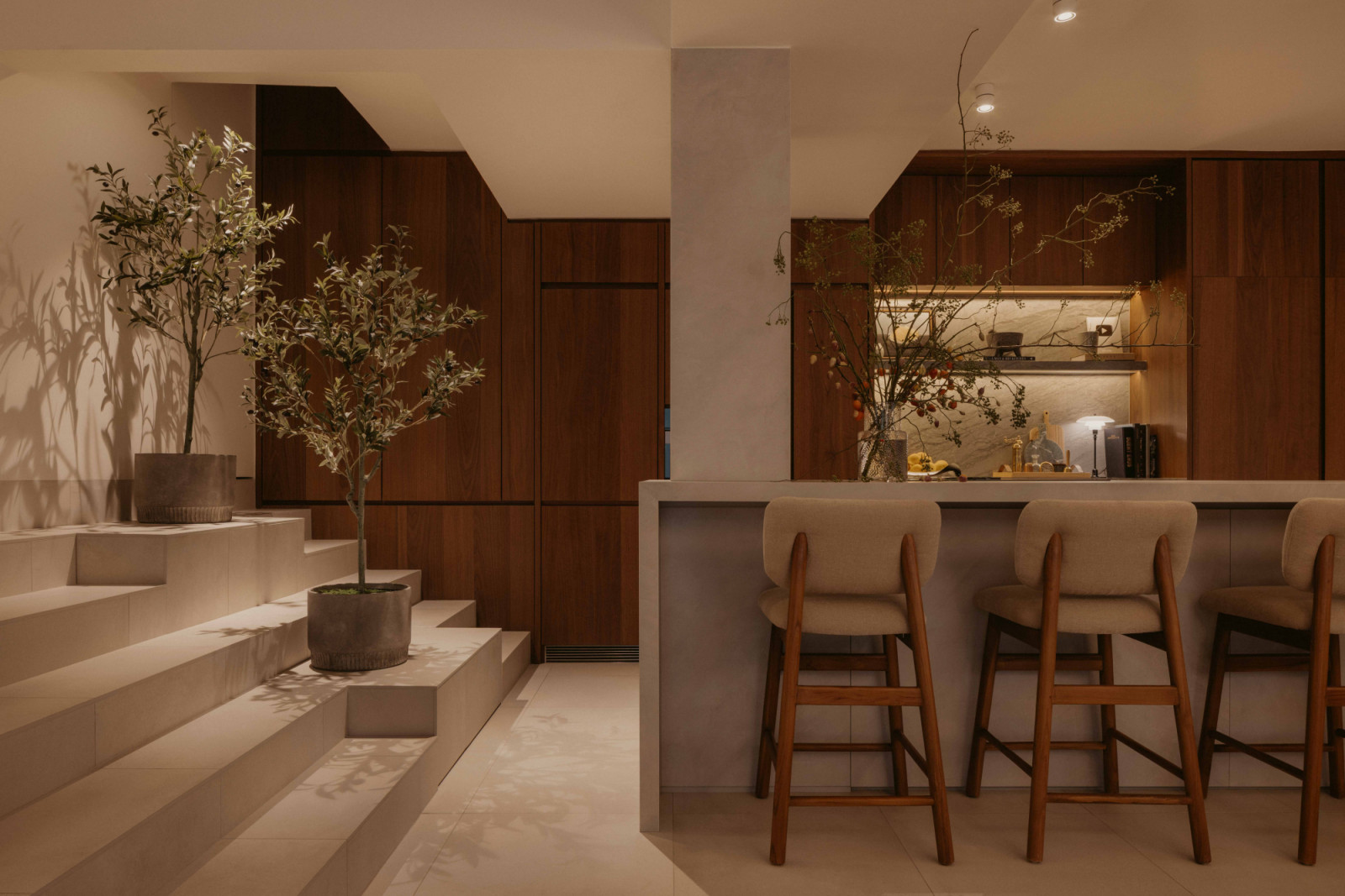 The transition between the steps dotted with olive tree planters and the dry kitchen, with an island topped in Dekton Argentium