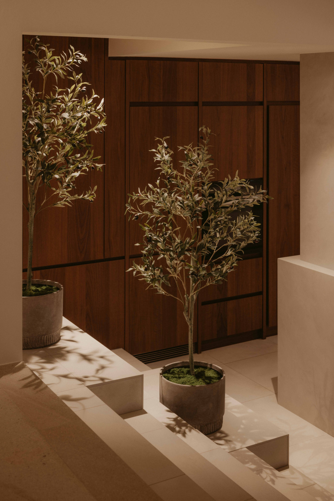 Potted olive trees introduce a soft, natural layer in this West Coast home, set against warm timber cabinetry and pale stone flooring