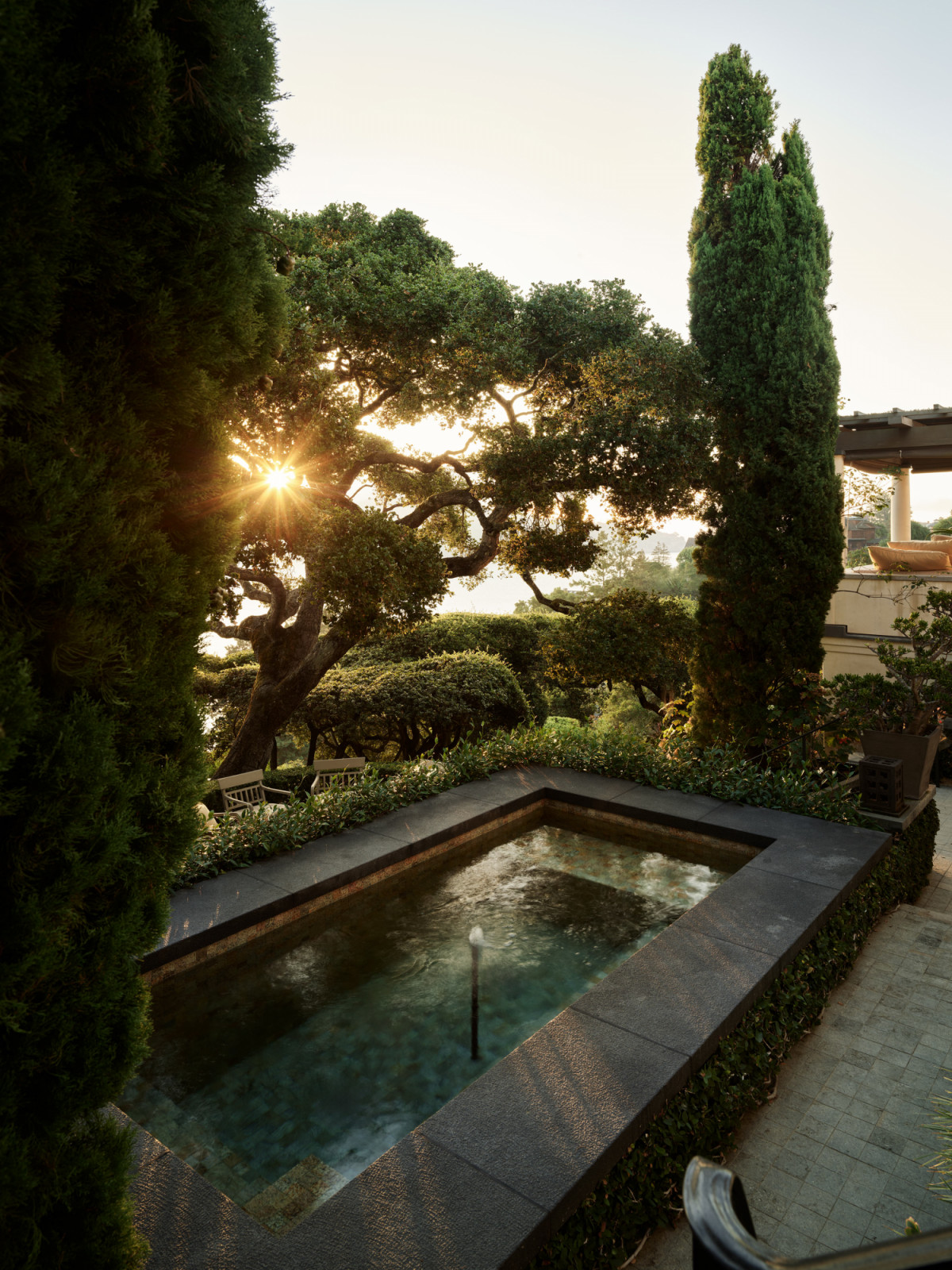 The garden has occupied most of Wiseman’s attention, evolving gradually over the decades